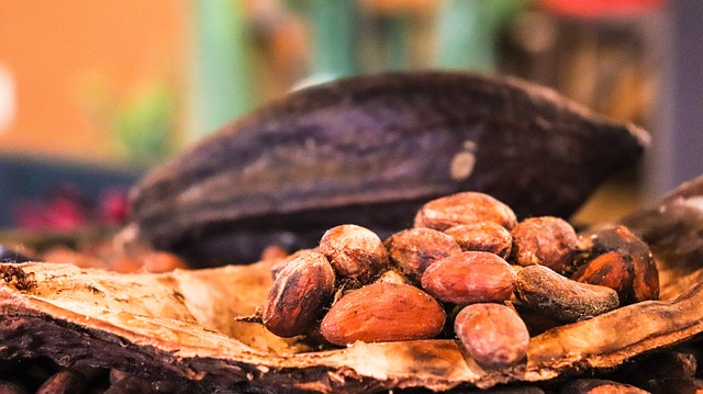 cacao beans