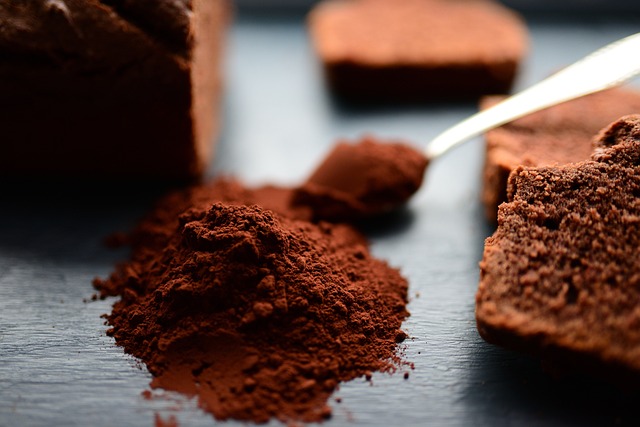 cacao powder : chocolat