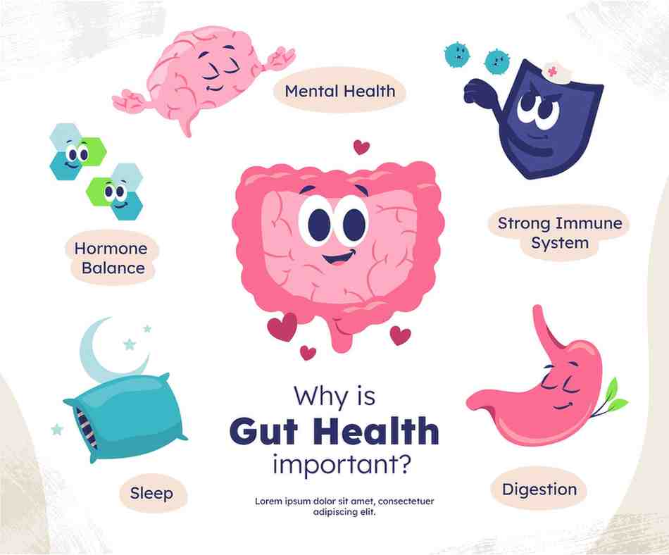 GUT HEALTH AND NATURAL YEAST