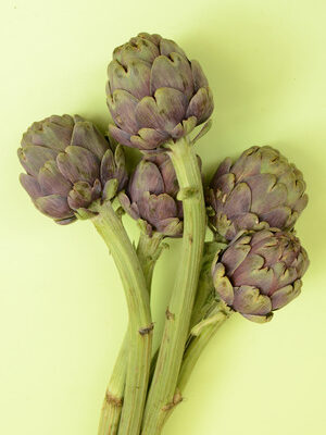 ARTICHOK 