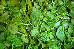 SPINACH