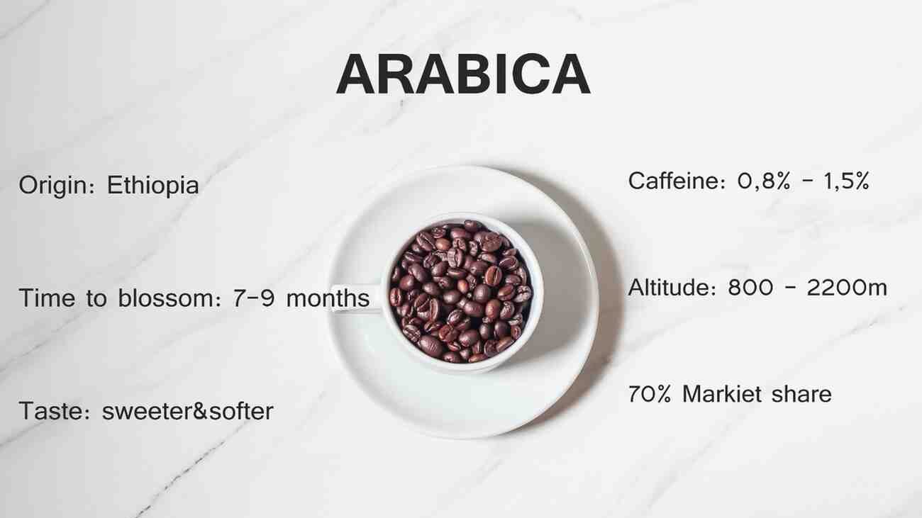 ARABICA COFFEE