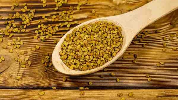 Fenugreek Seeds  USED IN BERBERE SPICE MIX 